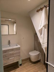 a bathroom with a sink and a toilet at Huma2025 in Eede