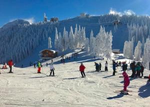 Un grupo de personas esquiando por una pendiente cubierta de nieve en Brașov Residential, en Brasov
