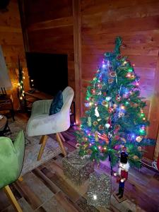 Photo de la galerie de l'établissement Drinska Dama, à Bajina Bašta 54 autres photos