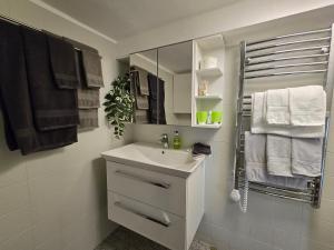 un bagno bianco con lavandino e doccia di Alpenblumal a Bad Goisern
