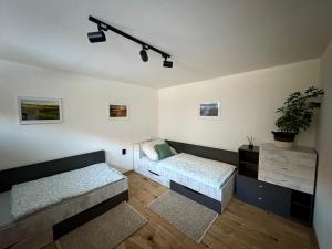 Voodi või voodid majutusasutuse Apartmány Faunapark toas