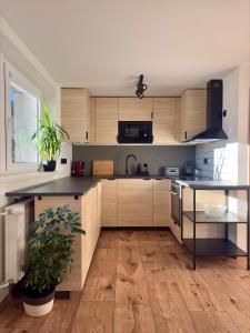 Kuchyň nebo kuchyňský kout v ubytování Apartmány Faunapark