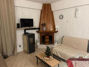 a living room with a couch and a fireplace at Casa Maria a Camigliatello silano in Camigliatello Silano