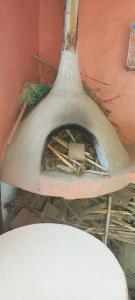 a close up of a vase next to a toilet at cozy apartment in Agadir