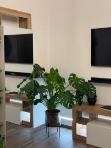 TV a/nebo společenská místnost v ubytování Iris B&B