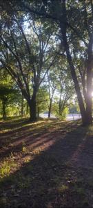 a group of trees in a park with the sun shining at La casa de Los Patitos in Arroyo de Los Patos +4 photos