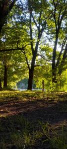 a group of trees in a park with the sun shining at La casa de Los Patitos in Arroyo de Los Patos