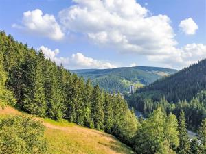 Příroda nedaleko apartmánu