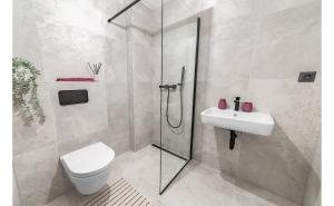 a bathroom with a shower and a toilet and a sink at Zorya Sunrise Apartment in Brno