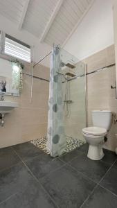 a bathroom with a toilet and a shower and a sink at Le Colibris du Lamentin in Lamentin +21 photos