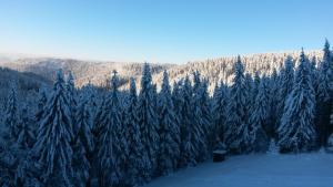 Príroda v okolí apartmánu