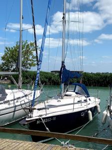 a sailboat is docked at a dock in the water at Aqua Enter36 Vitorlás in Budapest
