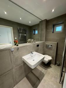 a bathroom with a sink and a toilet and a mirror at Residenz Rügen im Haus Windland in Dranske