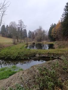 Loodusmaastik puhkemaja lähedal