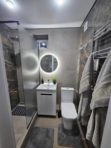 a bathroom with a toilet and a sink and a shower at Belts Apartaments in Bălţi