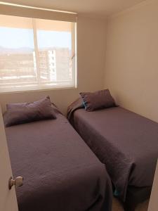 two beds in a small room with a window at Los Molles apartment in Los Molles