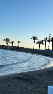 una playa con palmeras y el océano en Apartament MARA, en Torrevieja