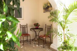 Zahrada ubytování Hotel Casa San Miguel