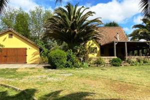 een geel huis met een palmboom in de tuin bij Hermosa casa de campo in Talca