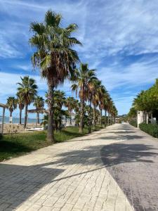 een weg met palmbomen aan de kant van een strand bij Joanon's landscape view in Golem