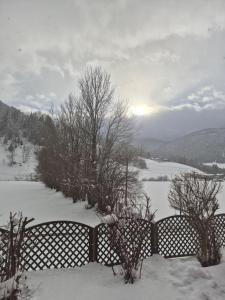 Příroda nedaleko apartmánu