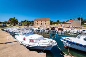 a bunch of boats are docked in a harbor at Caravan near the sea 4 in Ugljan +18 photos