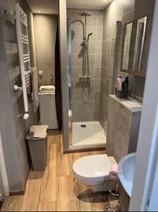 a bathroom with a shower and a toilet and a sink at F2 chez Cathy et Mike wittenheim in Wittenheim +7 photos