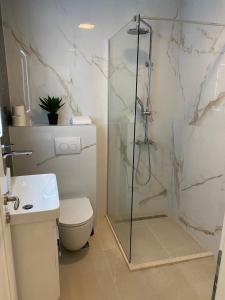 a bathroom with a shower and a toilet and a sink at Apartments Štica- Pelješac in Janjina +52 photos