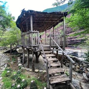 a wooden bridge with a person standing on it at Refugio Shangrila in Jordán +47 photos