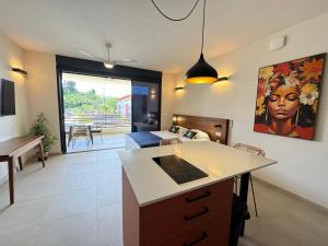 Televiisor ja/või meelelahutuskeskus majutusasutuses Appart hôtel PALM Suites CAYENNE
