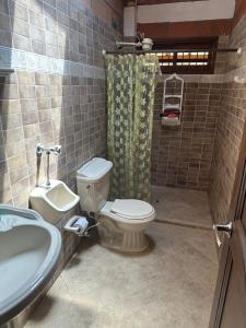a bathroom with a toilet and a sink and a shower at Paraiso del Nomada in Barbosa +22 photos