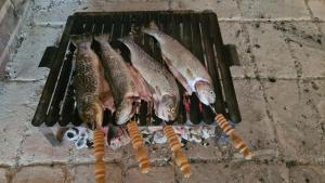 a group of fish are lined up on a grill at Forestside House Gacka with relax area in Sinac