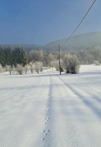 Το Forestside House Gacka with relax area τον χειμώνα