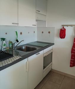 a white kitchen with a sink and a counter at Ferienwohnung C04 in Orselina +17 photos