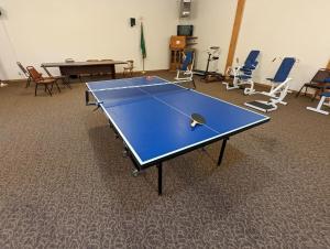 Attrezzature per ping pong presso Tiny Timber o nelle vicinanze