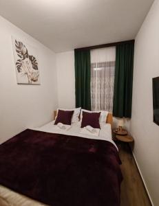 Ένα ή περισσότερα κρεβάτια σε δωμάτιο στο Apartman MPS Kopaonik-Free Spa