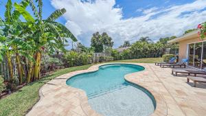 a swimming pool in the backyard of a house at Paradise Palace in Sarasota