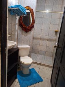a bathroom with a toilet and a mirror and a sink at La-Tica in Horquetas +9 photos
