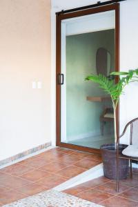 Fotografie z fotogalerie ubytování Habitación privada con alberca v destinaci Chetumal