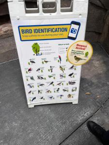 Certifikát, hodnocení, plakát nebo jiný dokument vystavený v ubytování Stevie s