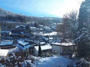 een stad bedekt met sneeuw met huizen en bomen bij Ferienwohnung bei Willingen mit Terrasse in Willingen