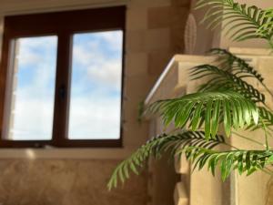 Φωτογραφία από το άλμπουμ του Cretan Nature Stone Apartment σε Ayiás Filakaí