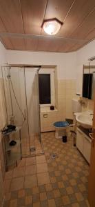 a bathroom with a shower and a toilet and a sink at Apartment Wiesenblick in Hermagor