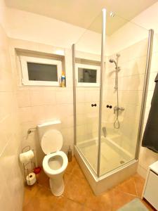 a bathroom with a shower and a toilet with a glass door at Burgblick Apartment- 60qm, Küche, Waschmaschine, Streamingdienste in Seebenstein +5 photos
