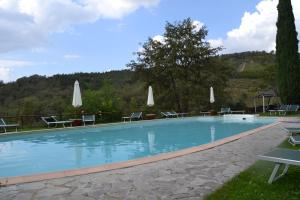 duży basen z krzesłami i parasolami w obiekcie Borgo Casa al Vento w mieście Gaiole in Chianti