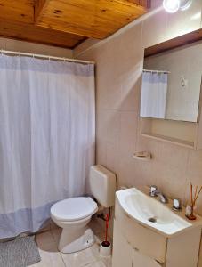 ein Badezimmer mit Toilette und Waschbecken in der Unterkunft Nahucar in El Bolsón