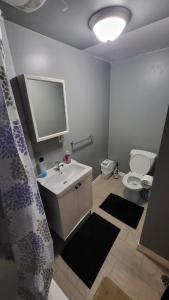 a bathroom with a white sink and a toilet at Newly Furnished Modern Apartment in Welland +17 photos