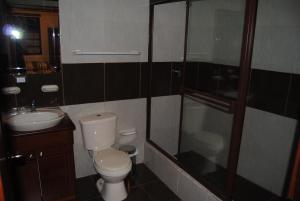 a bathroom with a toilet and a sink and a shower at Hotel Pegasus in Cuenca