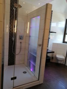a shower with a glass door in a bathroom at Moderne und ruhige Ferienwohnung in Feuchtwangen +37 photos