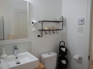 a bathroom with a sink and a toilet and a mirror at Auberge la maison sous les pins in Saint-Joseph-de-la-Rive +5 photos